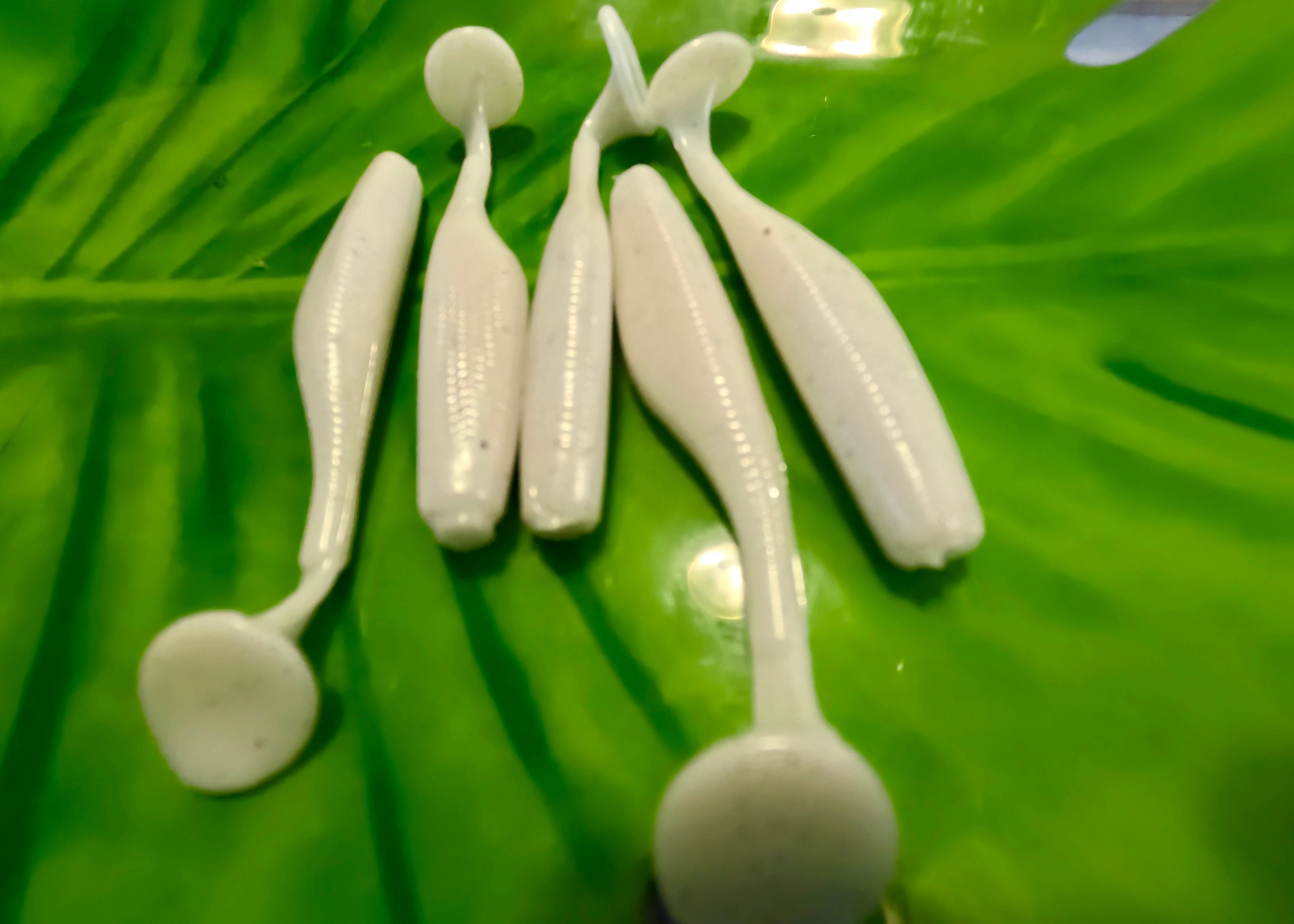 White 3.8" Swim bait