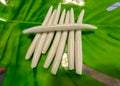 White 5.25" Stick bait