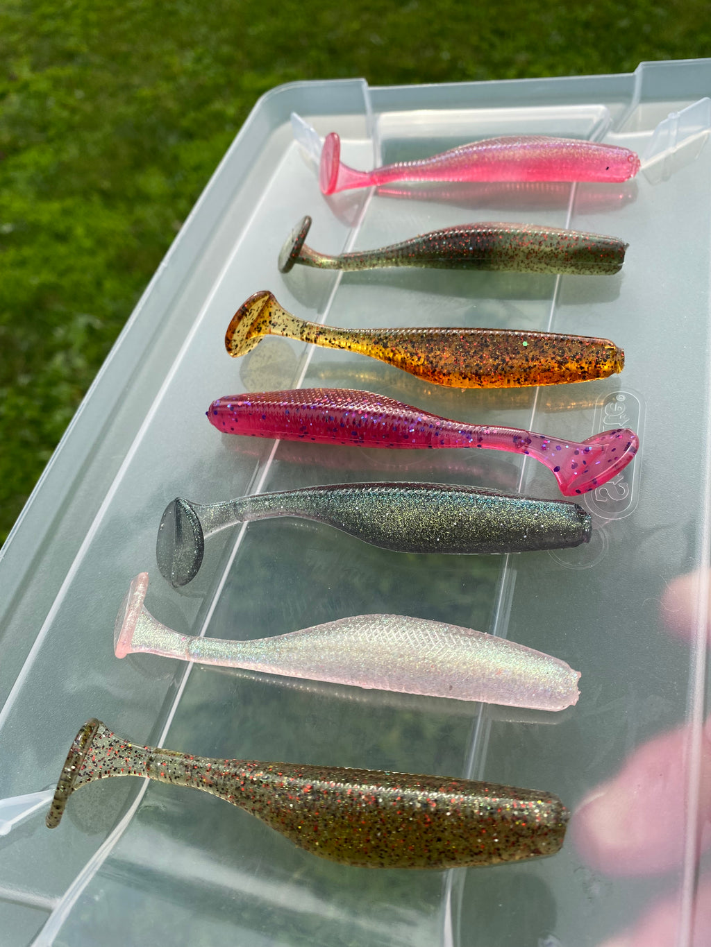 Variety 3.8" Swim bait